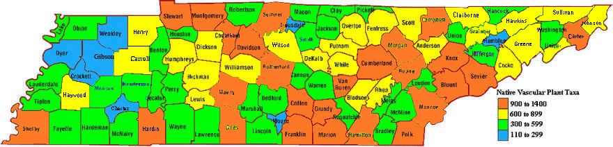 Tennessee Diversity Map