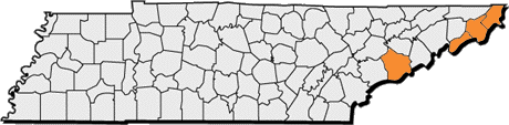 Map of Sorbus americana
